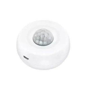 PIR Motion Sensor